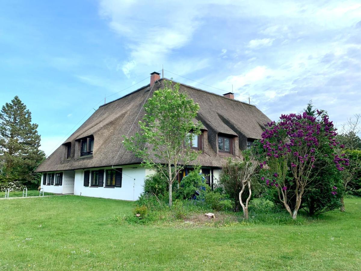 Ferienwohnung "Strandschnecke" Im Haus Hallig Oland Санкт Петер-Ординг Екстериор снимка